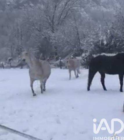 Maison à vendre 4 pièces 98,79 m² Entrevaux