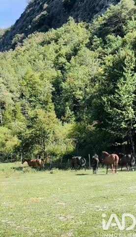 Maison à vendre 4 pièces 98,79 m² Entrevaux