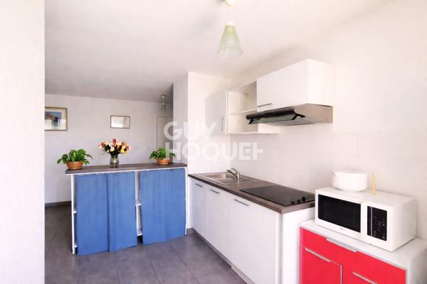 Appartement T3 - Canet en Roussillon - Vue Canigou