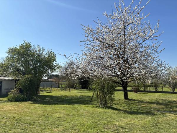 Vente                                                      Terrain
                        
                                         930 m2                     à Vallans