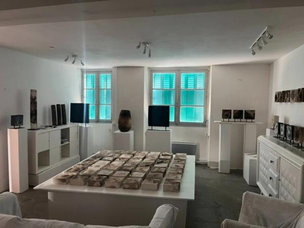 A vendre Maison de ville au coeur de BAGNERES DE BIGORRE avec un jardin  ()