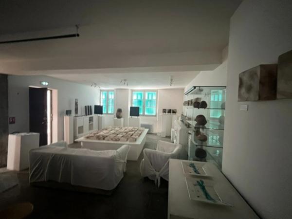 A vendre Maison de ville au coeur de BAGNERES DE BIGORRE avec un jardin  ()