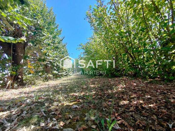 Commerces en quelques minutes à pied