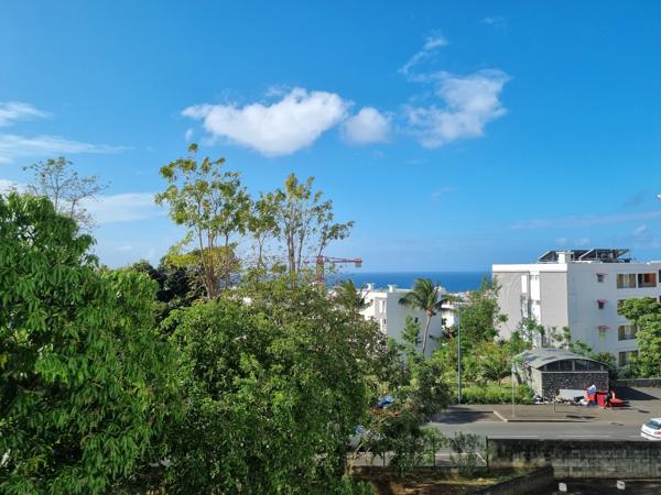 Appartement 1 pièce(s) 24.32 m²