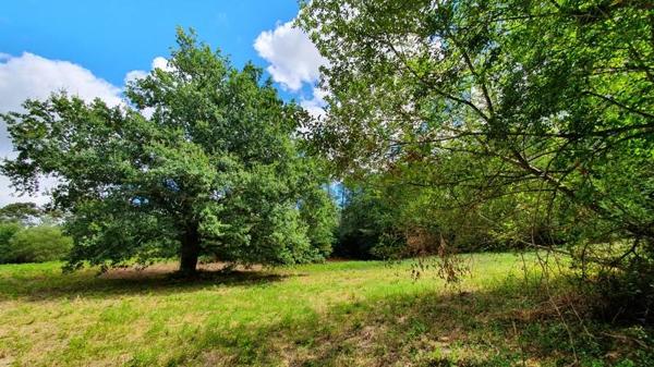 Terrain 20 000 € Saint-Privat-des-Prés 1650 m² DPE