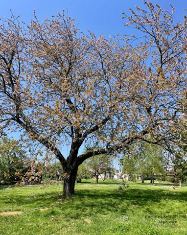 Maison Propriété 10 pièces-Véranda à 500m de Fontenay le Comte