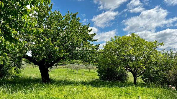 A vendre - Mas ancien rénové - La Tour d'Aigues - Sud Luberon