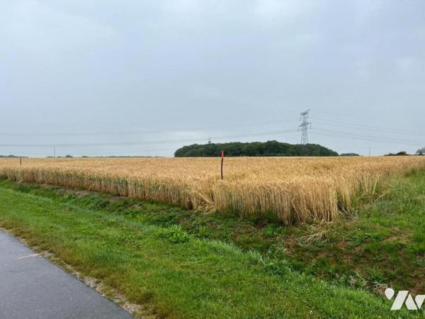 Terrain à bâtir