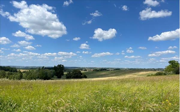 Terrain à vendre |  Lévignac-de-Guyenne |  4397 m²