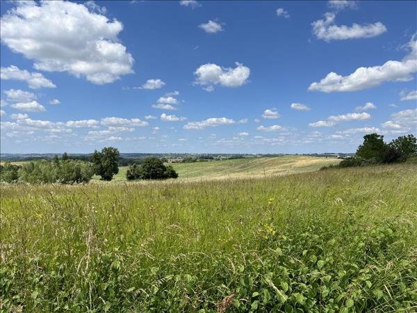 Terrain à vendre |  Lévignac-de-Guyenne |  4397 m²