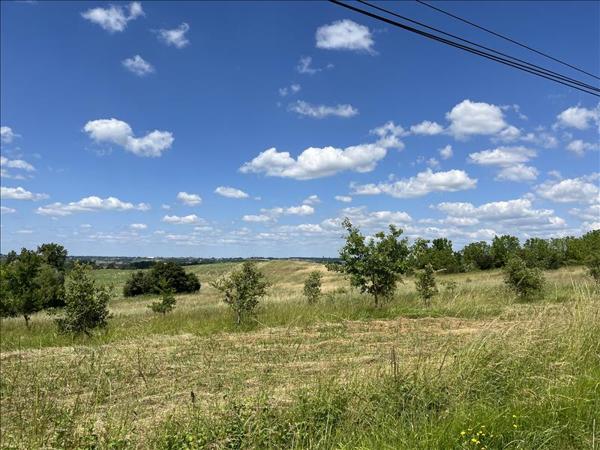 Terrain à vendre |  Lévignac-de-Guyenne |  4397 m²