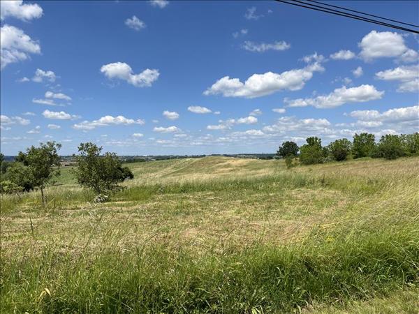 Terrain à vendre |  Lévignac-de-Guyenne |  4397 m²