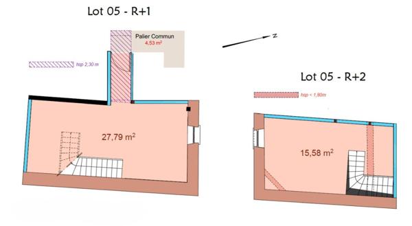 Saint-Priest / Manissieux - T2 duplex en plateaux