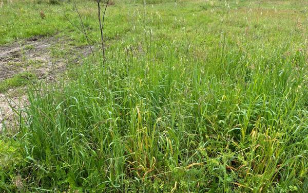 Terrain à vendre    Arvert