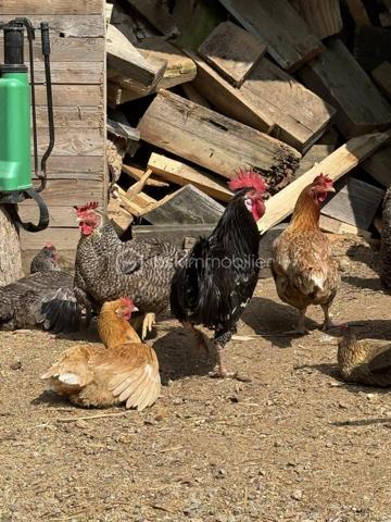 Terrain de 2 950 m²