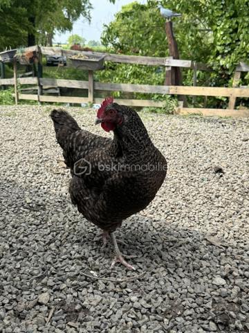 Terrain de 2 950 m²