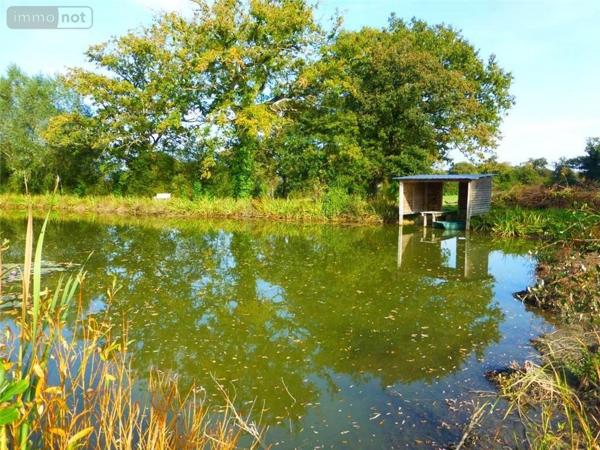 Maison à vendre à Nuillé-sur-Vicoin en Mayenne (53970), ref : 53006-1241