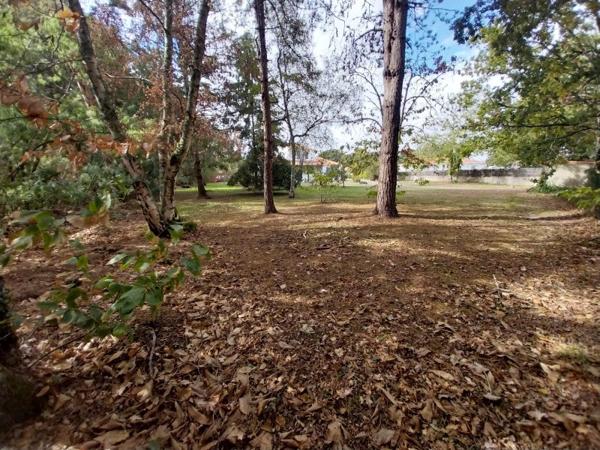 Vente / Maison à Challans (85300)