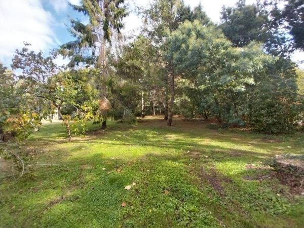 Vente / Maison à Challans (85300)