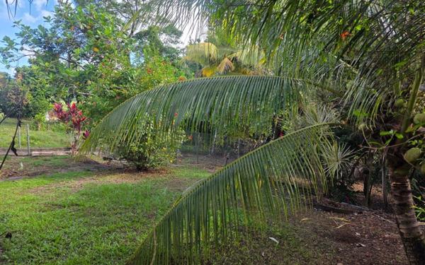 Maison à louer    4 pièces • 91,81 m2 Saint-Esprit