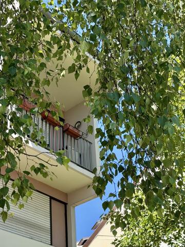 Appartement 3 pièces à Schiltigheim