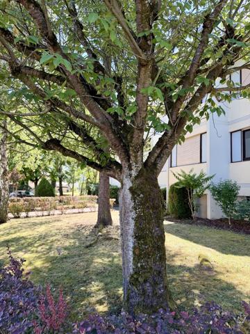 Appartement 3 pièces à Schiltigheim