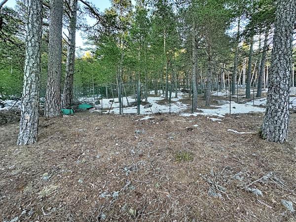 À vendre : Terrain exceptionnel de 4320 m² à Andon, France