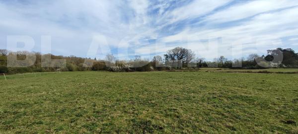 Maison 5 chambres avec plus de 7 hectares libre