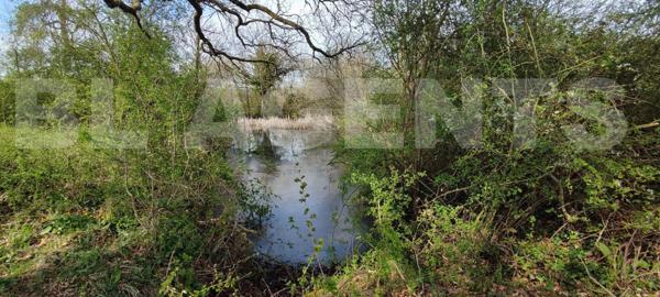 Maison 5 chambres avec plus de 7 hectares libre