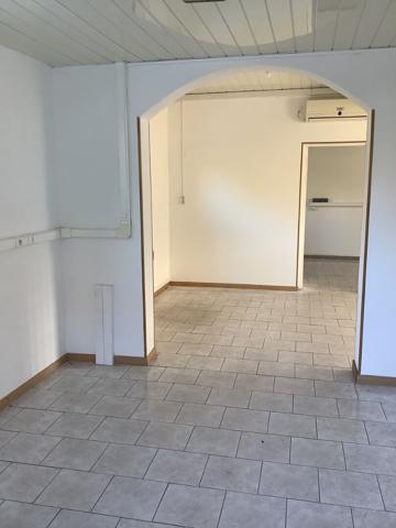 Location Local professionnel 4 pièces Ensisheim (68190)