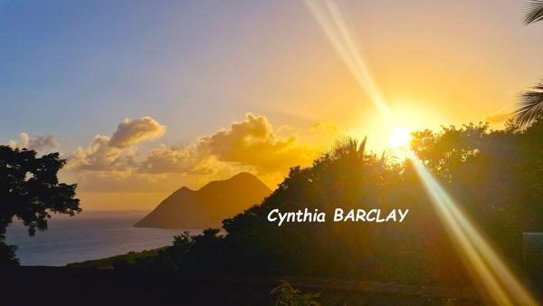 Maison de campagne à LE DIAMANT (97223)