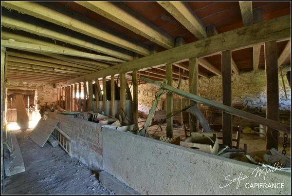 Dpt Cher (18), à vendre - maison 6 pièces 110 m²