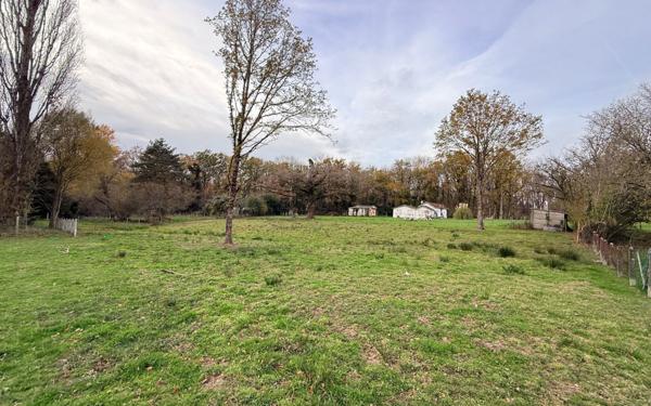 Terrain à vendre    Panazol