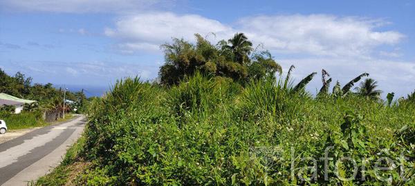 Achat terrain Capesterre-Belle-Eau - 1056 m² - 110 000 €
