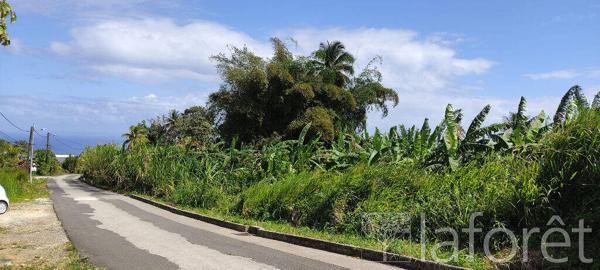 Achat terrain Capesterre-Belle-Eau - 1056 m² - 110 000 €