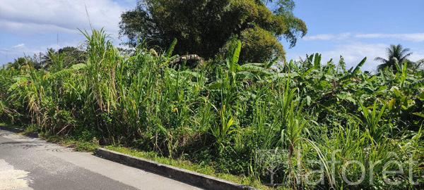 Achat terrain Capesterre-Belle-Eau - 1056 m² - 110 000 €