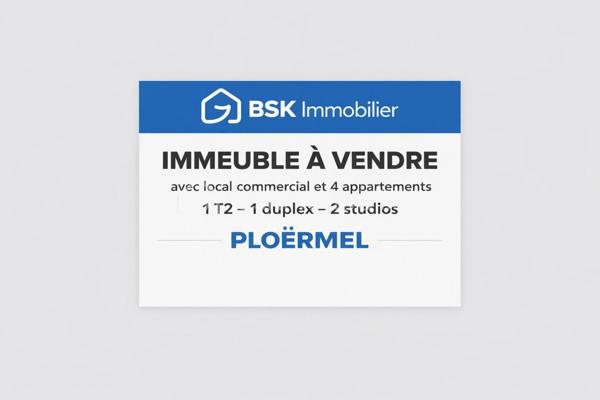 Immeuble mixte de 247 m²