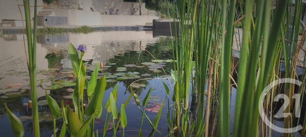 Maison à vendre  6 pièces - 265,71 m2 MONESTIES - 81