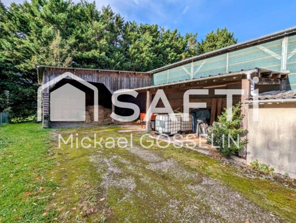 maison 6 pièces 153m² et 12 boxes à chevaux