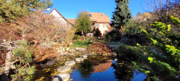Soultzeren (68140) Grande maison familiale, bi-famille, gîte, box chevaux, prés sur 30 ares