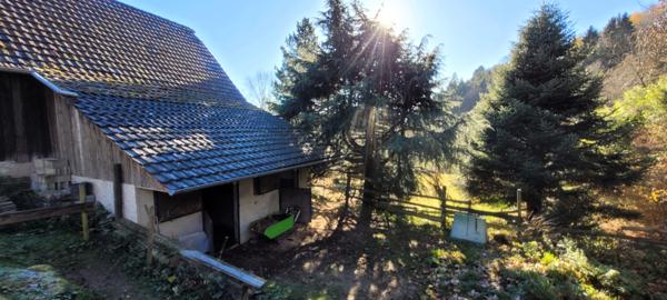 Soultzeren (68140) Grande maison familiale, bi-famille, gîte, box chevaux, prés sur 30 ares