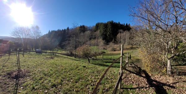 Soultzeren (68140) Grande maison familiale, bi-famille, gîte, box chevaux, prés sur 30 ares