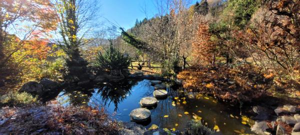 Soultzeren (68140) Grande maison familiale, bi-famille, gîte, box chevaux, prés sur 30 ares