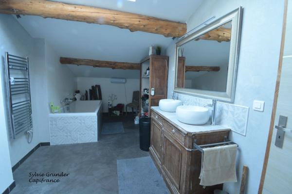 Maison à vendre 6 pièces SENAS (13)avec dépendance piscine lagon et parc arboré