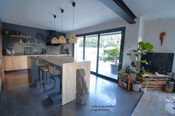 Maison à vendre 6 pièces SENAS (13)avec dépendance piscine lagon et parc arboré