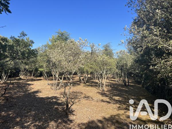 Terrain à vendre 845 m² Cabrières-d'Avignon
