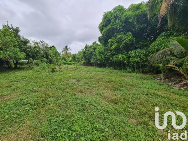 Terrain à vendre 1 196 m² Le Moule