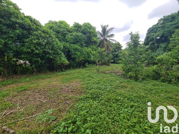 Terrain à vendre 1 196 m² Le Moule