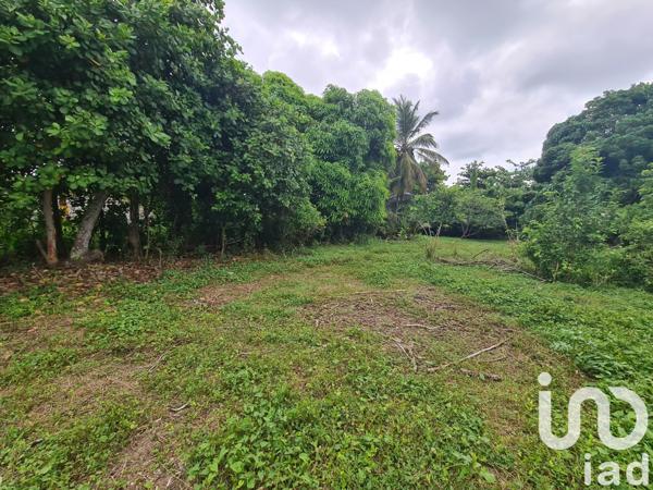 Terrain à vendre 1 196 m² Le Moule