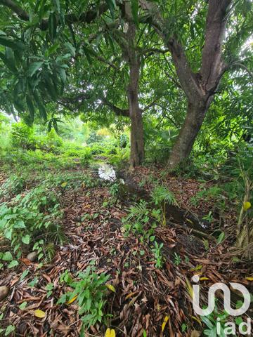 Terrain à vendre 1 196 m² Le Moule